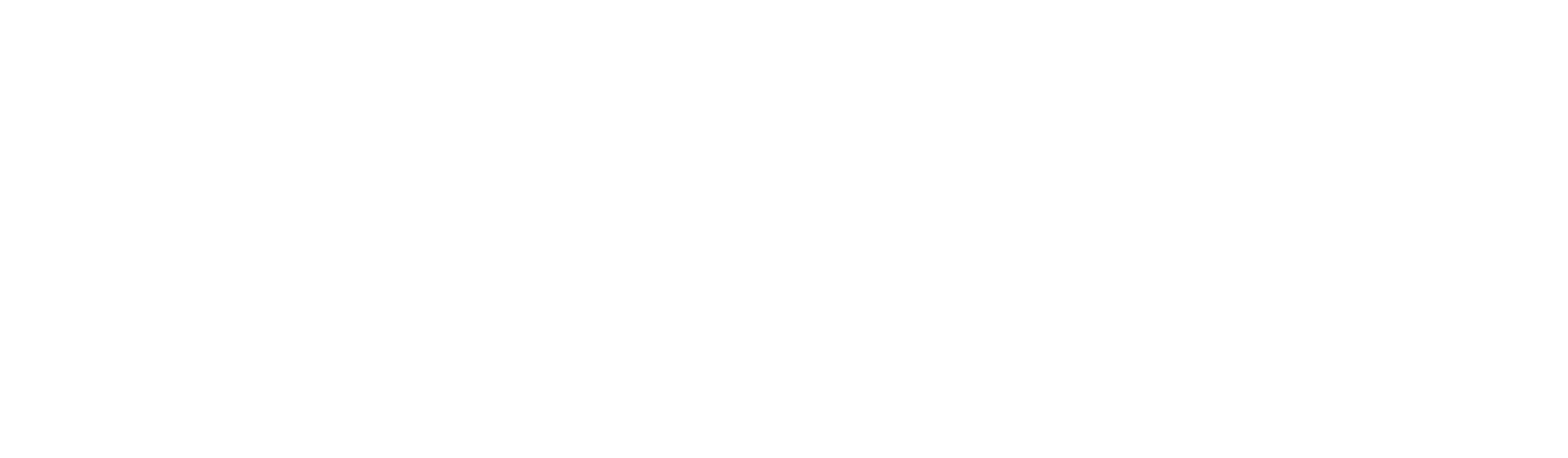 Brainwave Trust Aotearoa logo