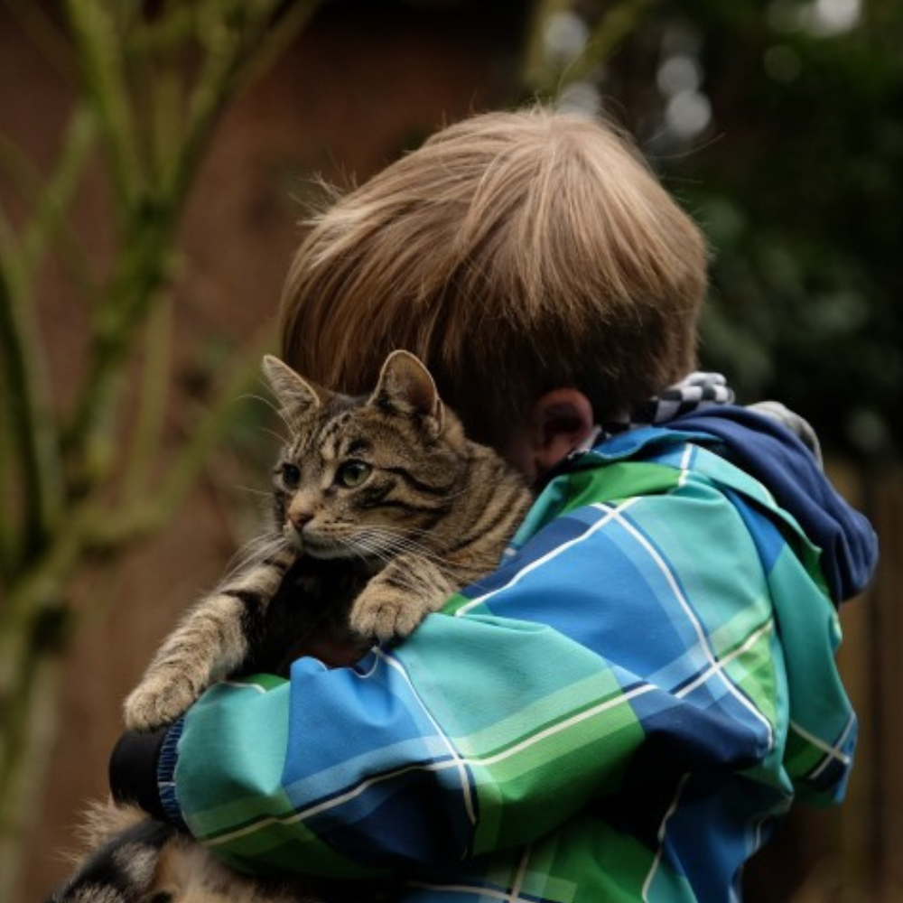 Family violence: Children get hurt